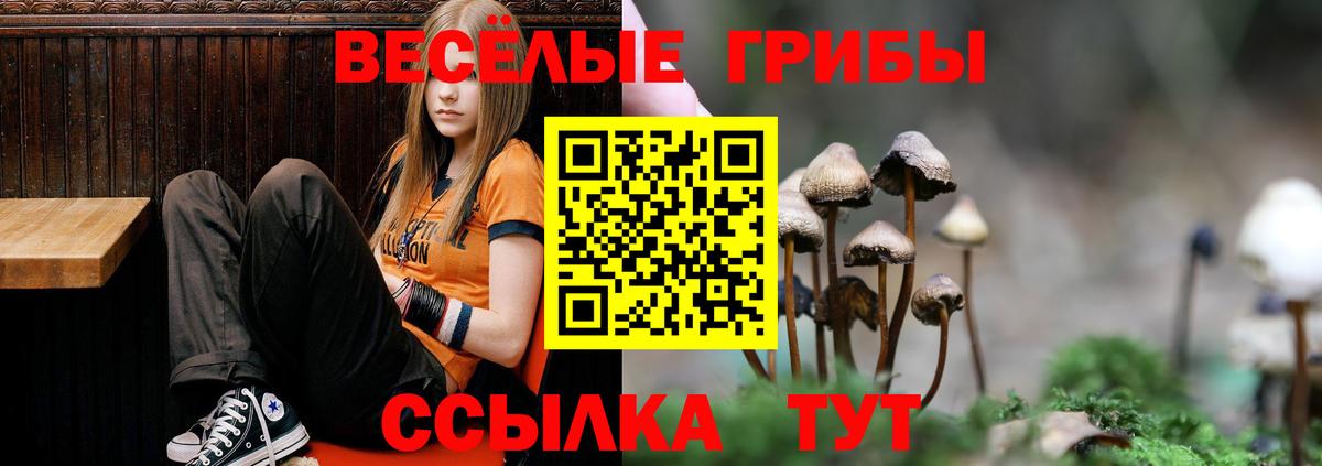 Галлюциногенные грибы ЛСД Дедовск