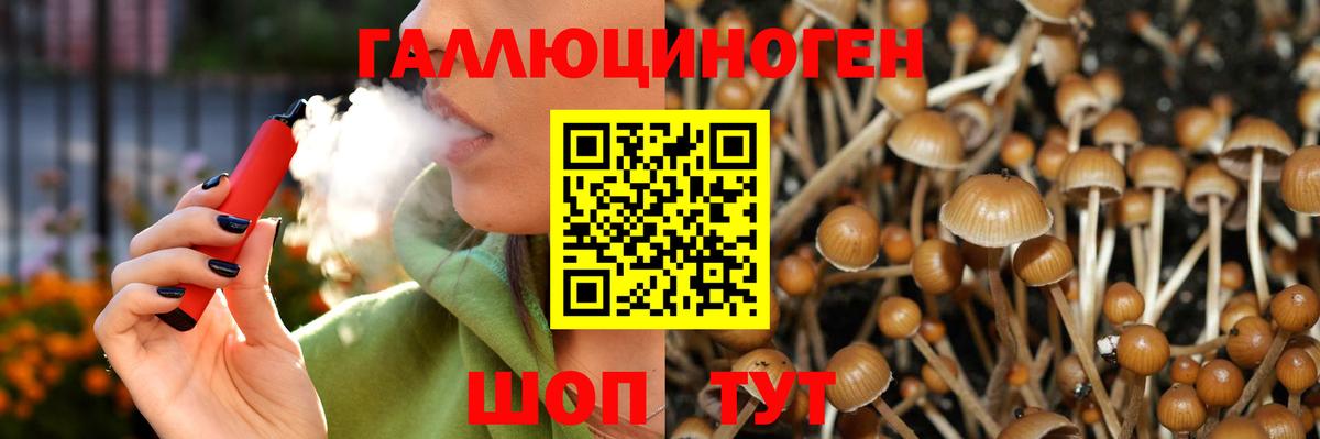 Псилоцибиновые грибы прущие грибы  где продают наркотики  Дедовск  Вход с VPN 